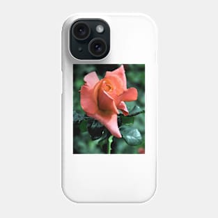 Orange Rose Bud Phone Case