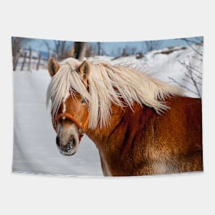 Belgian Horse In Winter Tapestry