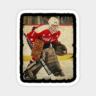 Pete Peeters, 1989 in Washington Capitals (139 GP) Magnet