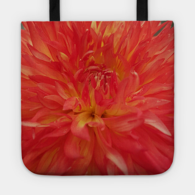 Orange Floral
