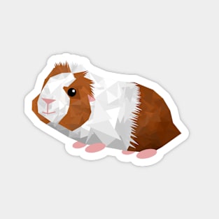 Geometric Guinea Pig Magnet