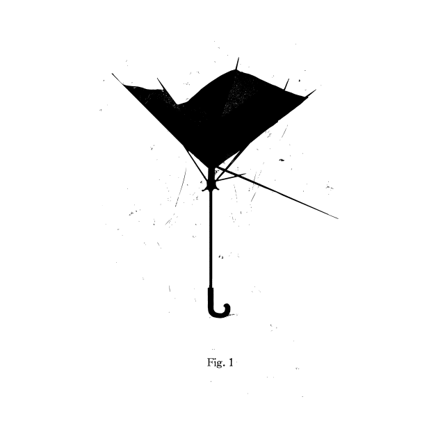 Fig.1: Broken Umbrella by winklepicker