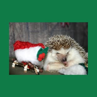 Christmas Hedgehog T-Shirt