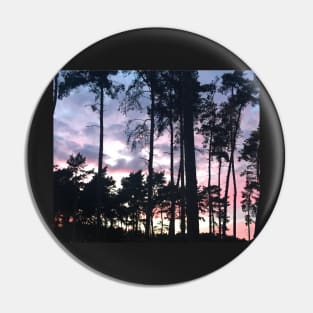 Forest sunset landscape beautiful pink hues in the shadow of sky high pine trees Pin