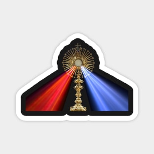 Jesus Divine Mercy Eucharist Holy Host Mass Sacred Heart of Jesus Catholic Prayer 2010 Magnet