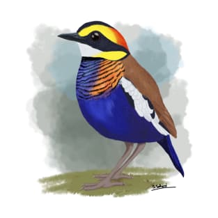 Malayan Banded Pitta T-Shirt