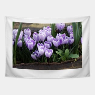 Crocus Flowers Tapestry