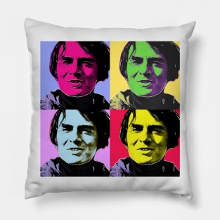 Sagan & Warhol Pillow