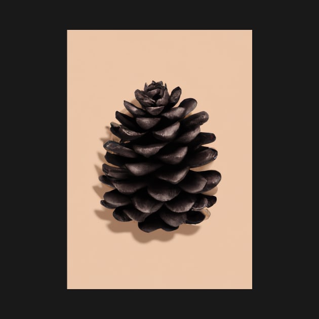 Black Pinecone by maxcode