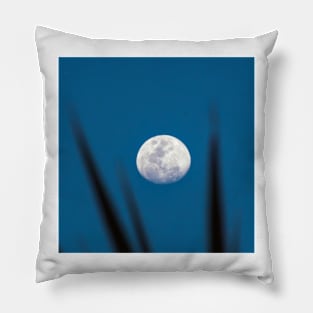 Moon Rising Through The Canopy Pillow