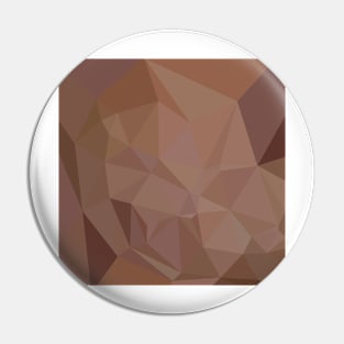 Caput Mortuum Brown Abstract Low Polygon Background Pin