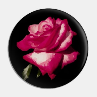 Rose with dew drops Pin