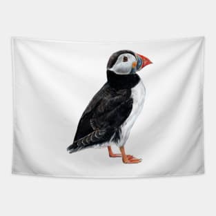 Puffin colored pencil drawing Tapestry