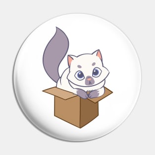 Cat in the box Pin