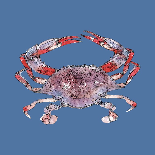 Crabby by jennygormanart