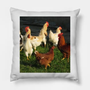 Poultry Pillow