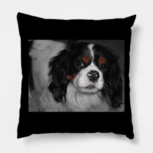 cavalier king charles spaniel tri third Pillow