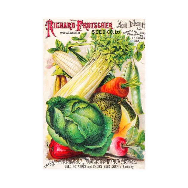 Richard Frotscher Seed Co Ltd. Catalogue by WAITE-SMITH VINTAGE ART