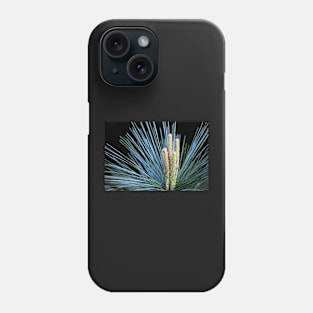 Evergreen shapes Phone Case