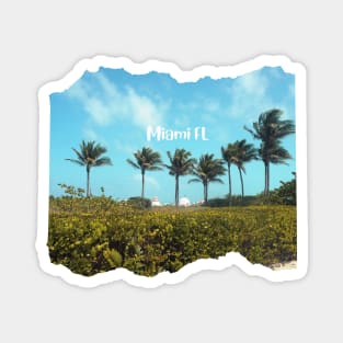 Palm trees photo Miami Florida blue sky palmtree landscape USA nature lovers Magnet