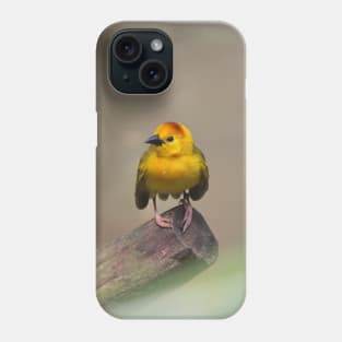 Taveta Golden Weaver Phone Case