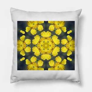 Floral Design - Kaleidoscope Pillow