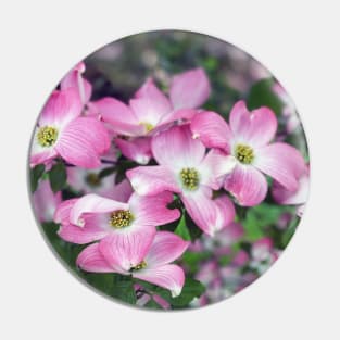 Dogwood Flowers in Spring Pin