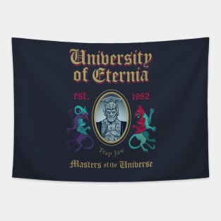 MSc in Universe Model 4 Tapestry