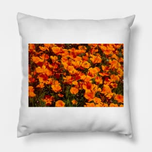 Afternoon Poppies Pillow