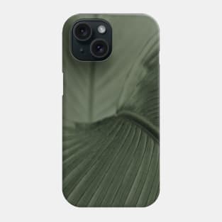 Huge Evergreen Tropical  Palm Leaf Phone Case