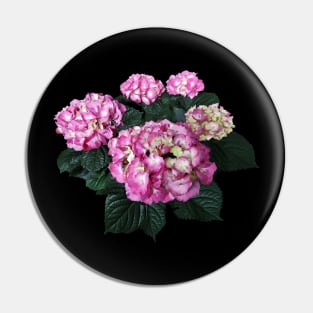 Hydrangeas - Circle of Pink Hydrangea Pin