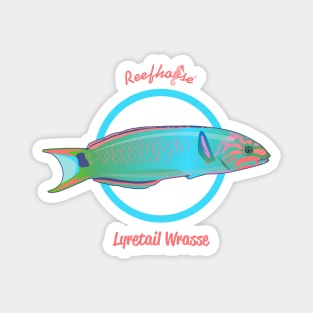 Lyretail Wrasse Magnet