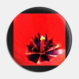 Red tulip macro Pin