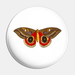 Butterfly Moth illustrated Pin