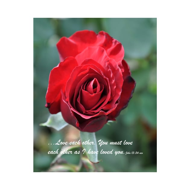 Love Each Other Red Rose Bloom by KirtTisdale