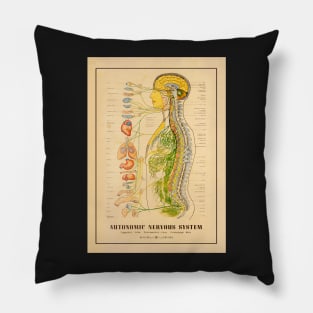 Nervous System, Medical Chart, Skeleton Print, Doctor Chart Pillow