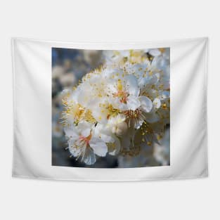 White Plum Blossom Tapestry