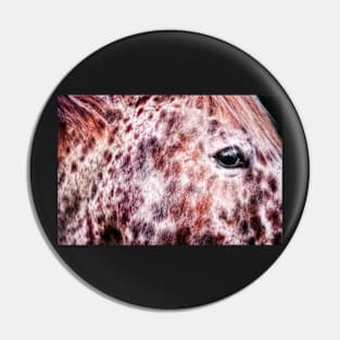 Appaloosa horse head portrait Pin