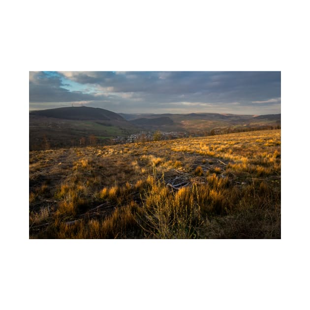 Welsh Hills of Gold - 2013 by SimplyMrHill