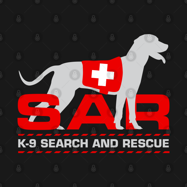 k9 search clearview wa