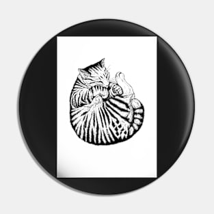 Sleeping Cat Pin