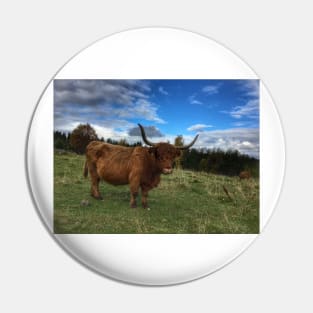 Scottish Highland Cattle Cow 1562 Pin