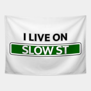 I live on Slow St Tapestry