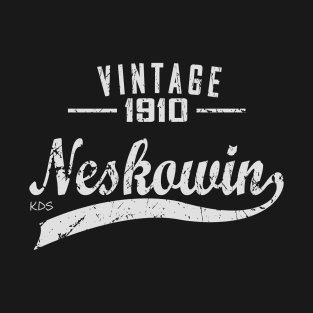 Neskowin, Oregon Vintage Light T-Shirt