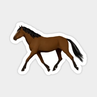 Bay horse Magnet