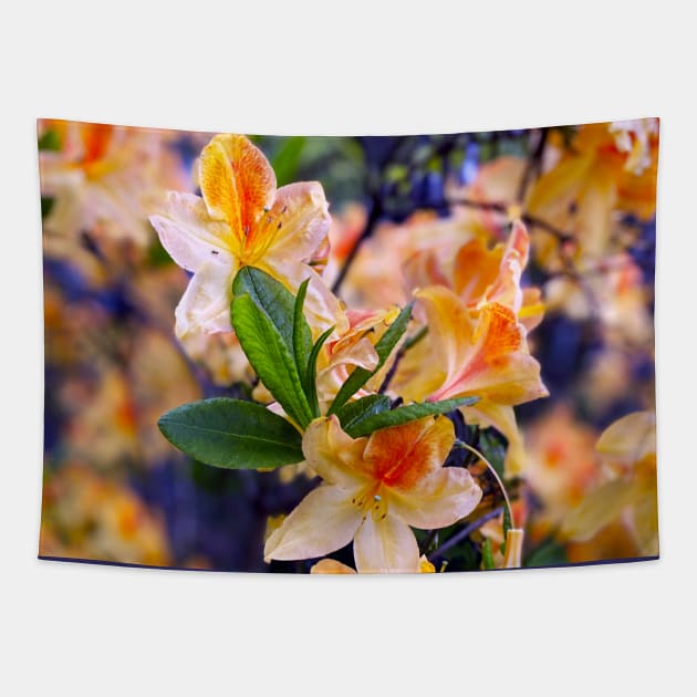 Spring Flowers in Portland Tapestry by Nicholas Lee