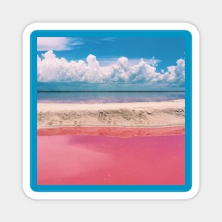 pink lake Magnet