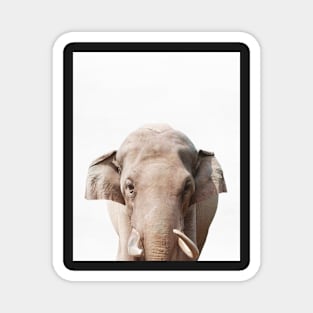 Elephant print, African Safari, Nursery decor, Animal, Kids room, Modern Wall Magnet