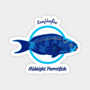 Midnight Parrotfish Magnet