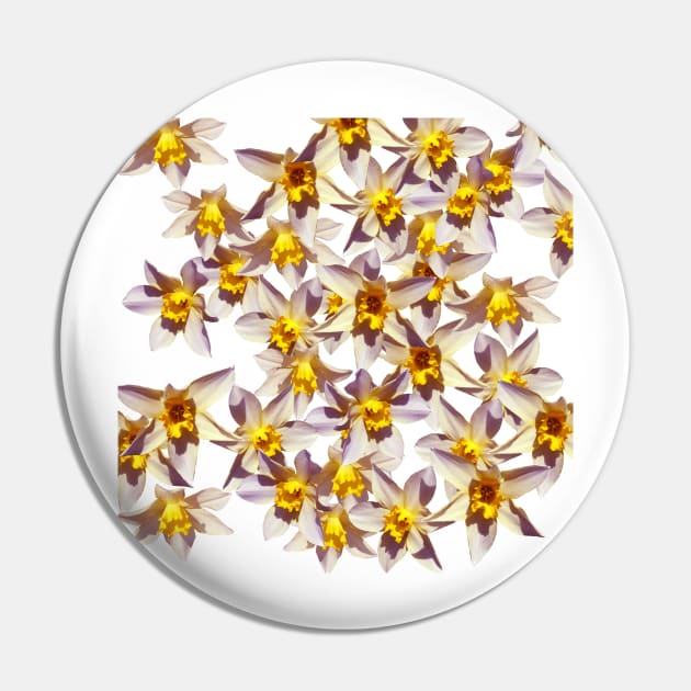 Daffodils Pin by Manitarka